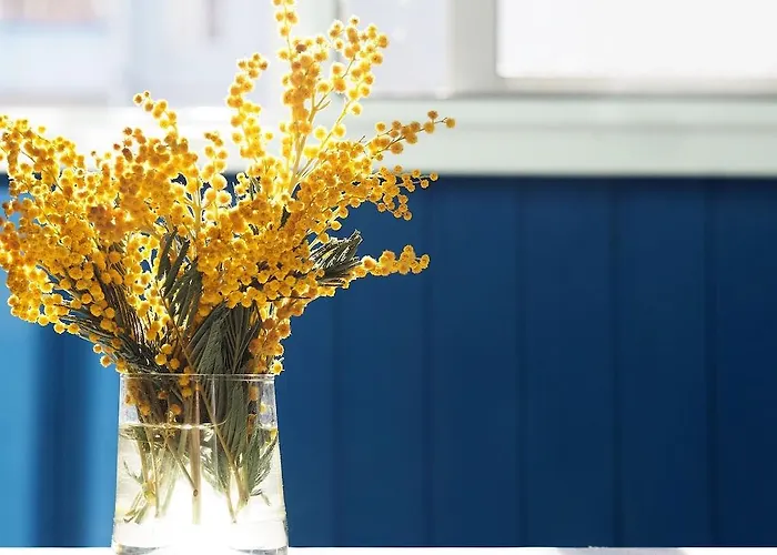 Voco Venice - The Quid By Ihg 4* Mestre